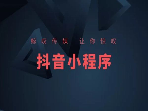 鲸叹传媒-抖音小程序暴利变现项目-抖音电商培训2022打包下载