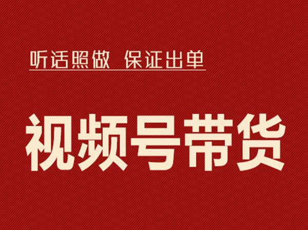 李鲆-视频号带货-听话照做，保证出单-2022价值980元百度网盘下载