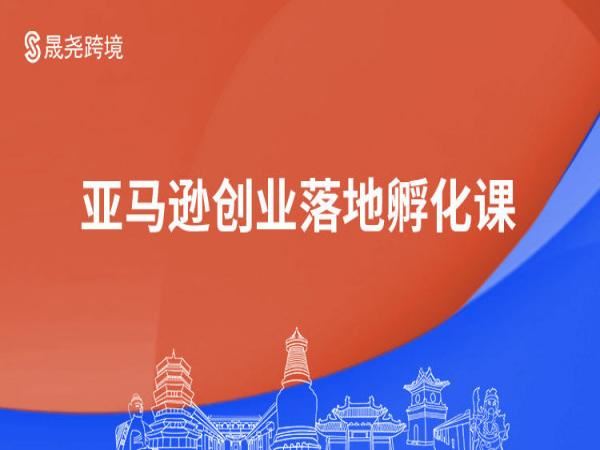 晟尧跨境-真人讲解直播课（每月一轮）2023