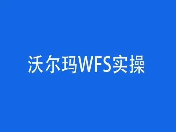 跨境365-沃尔玛WFS运营实操课-跨境电商培训打包下载